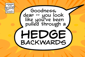 Hedge Backwards font